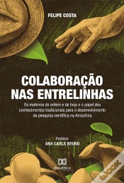 Capa do artigo Colaboração Nas Entrelinhas