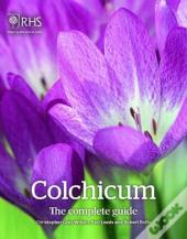 Colchicum: The Complete Guide