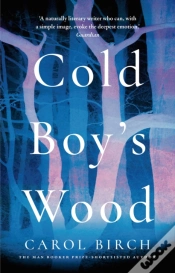 Capa do artigo Cold Boy