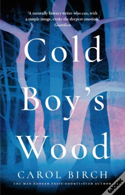 Capa do artigo Cold Boy'S Wood