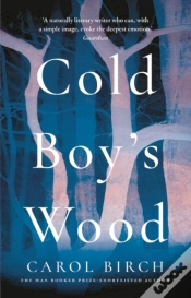 Capa do artigo Cold Boy