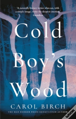 Capa do artigo Cold Boy'S Wood