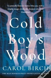 Capa do artigo Cold Boy