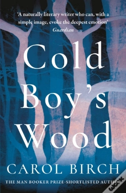 Capa do artigo Cold Boy'S Wood
