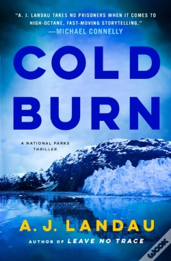 Capa do artigo Cold Burn