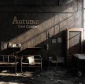 Capa do artigo Cold Comfort - CD