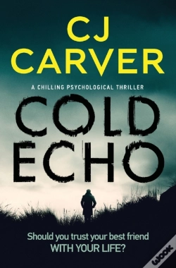 Capa do artigo Cold Echo
