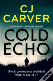 Capa do artigo Cold Echo