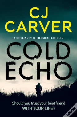 Capa do artigo Cold Echo