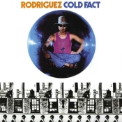 Capa do artigo Cold Fact - Vinil