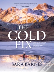 Capa do artigo Cold Fix