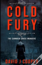 Capa do artigo Cold Fury