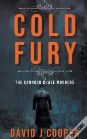 Capa do artigo Cold Fury