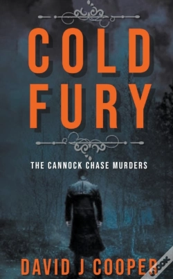 Capa do artigo Cold Fury