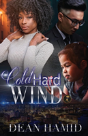 Cold Hard Wind - Preview