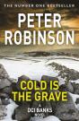 Cold Is The Grave - Preview