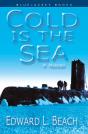 Cold Is The Sea - Preview