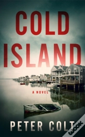 Capa do artigo Cold Island