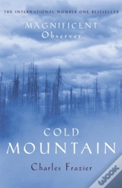Capa do artigo Cold Mountain