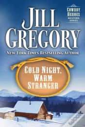 Capa do artigo Cold Night, Warm Stranger