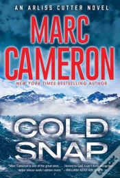 Capa do artigo Cold Snap