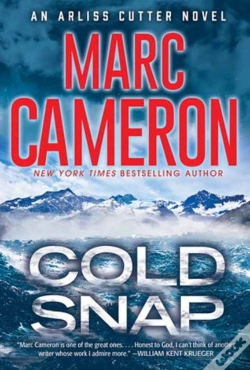 Capa do artigo Cold Snap