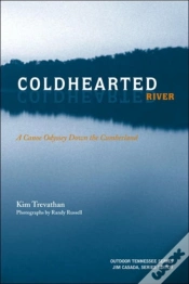 Capa do artigo Coldhearted River