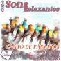 Coleção Sons Relaxantes - Canto De Pássaros - Preview