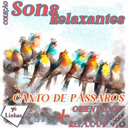Capa do artigo Coleção Sons Relaxantes - Canto De Pássaros