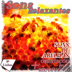 Capa do artigo Coleção Sons Relaxantes - Sons De Abelhas