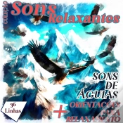Capa do artigo Coleção Sons Relaxantes - Sons De Águias