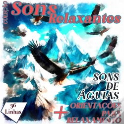 Capa do artigo Coleção Sons Relaxantes - Sons De Águias