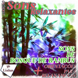 Capa do artigo Coleção Sons Relaxantes - Sons De Bosque De Bambus