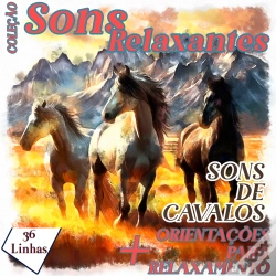 Capa do artigo Coleção Sons Relaxantes - Sons De Cavalos
