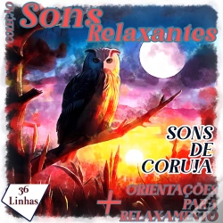 Capa do artigo Coleção Sons Relaxantes - Sons De Coruja