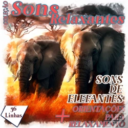 Capa do artigo Coleção Sons Relaxantes - Sons De Elefantes