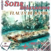 Capa do artigo Coleção Sons Relaxantes - Sons De Flauta De Bambu