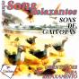 Coleção Sons Relaxantes - Sons De Gaivotas - Preview