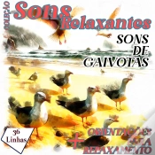 Capa do artigo Coleção Sons Relaxantes - Sons De Gaivotas