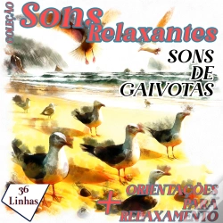 Capa do artigo Coleção Sons Relaxantes - Sons De Gaivotas