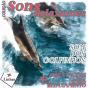 Coleção Sons Relaxantes - Sons De Golfinhos - Preview