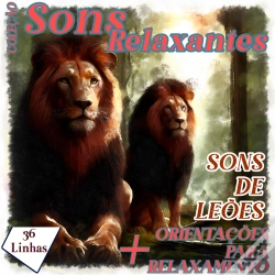 Capa do artigo Coleção Sons Relaxantes - Sons De Leões