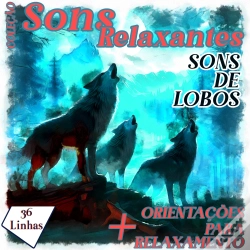 Capa do artigo Coleção Sons Relaxantes - Sons De Lobos