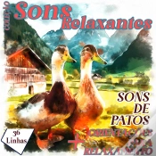 Capa do artigo Coleção Sons Relaxantes - Sons De Patos