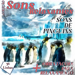 Capa do artigo Coleção Sons Relaxantes - Sons De Pinguins