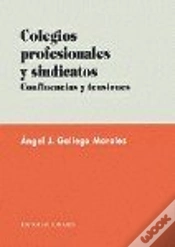 Capa do artigo Colegios Profesionales Y Sindicato