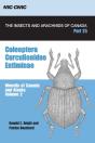Coleoptera, Curculionidae, Entiminae - Preview