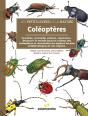 Coléoptères - Preview