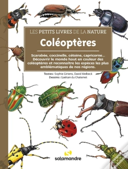 Capa do artigo Coléoptères