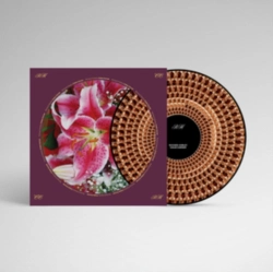 Capa do artigo Coles Corner (20th Anniversary) - Vinil